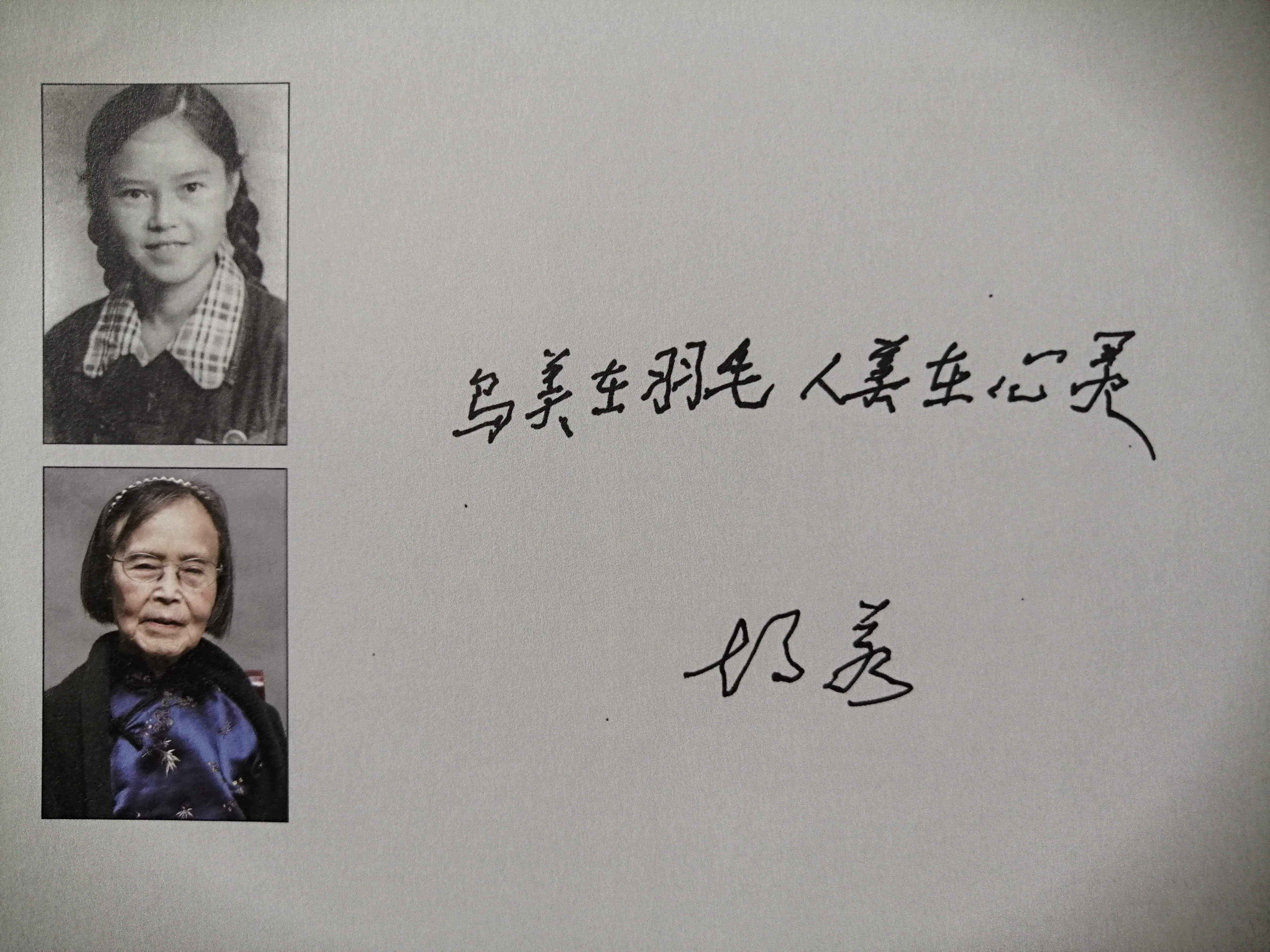 学术期刊封面