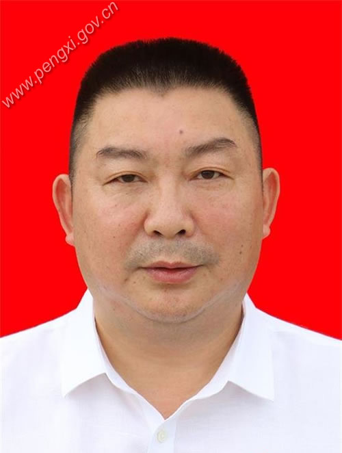 学术期刊封面